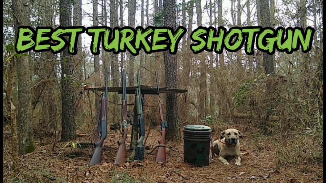 Best Shotgun for Turkey Hunting