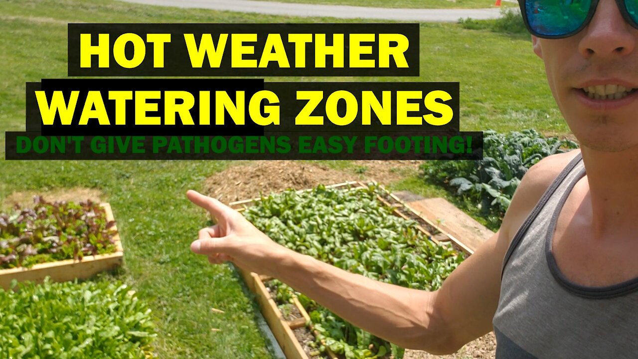 Create Summer Watering Zones to Ward Off Pathogens in the Garden