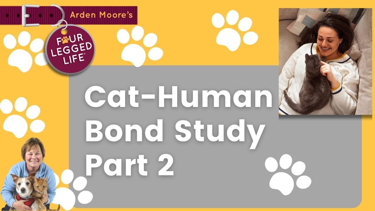 Cat-Human Bond Study Pt2