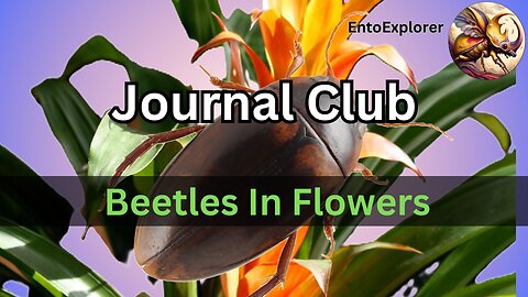 Aquatic Beetles That Live In Flowers - Journal Club