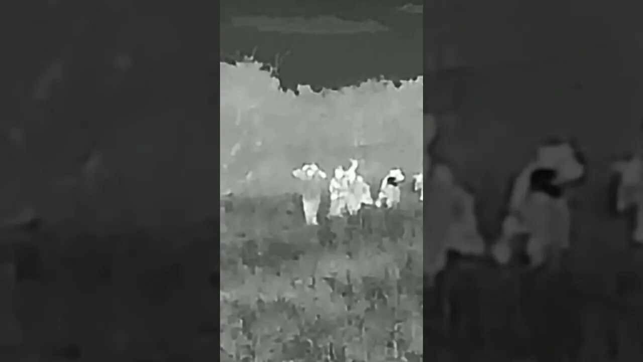 🏳️ Ukrainian Army group surrenders before Russian positions in the Zaporozhye direction. #ukraine