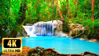 Relaxing Zen Music & Water Sounds • Amazing Ambience for Relaxation, Meditation, Spa and Yoga