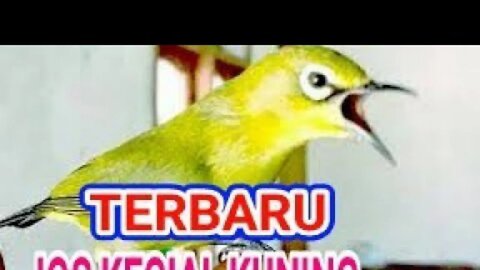 LAGI MAIN MOBILE LEGEN