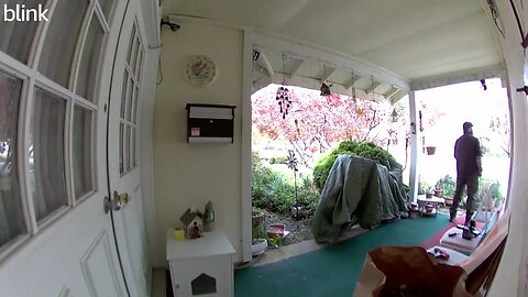 NORTH_VIDEO_DOOR_BELL_2023-04-08T11_44_49-0400.mp4