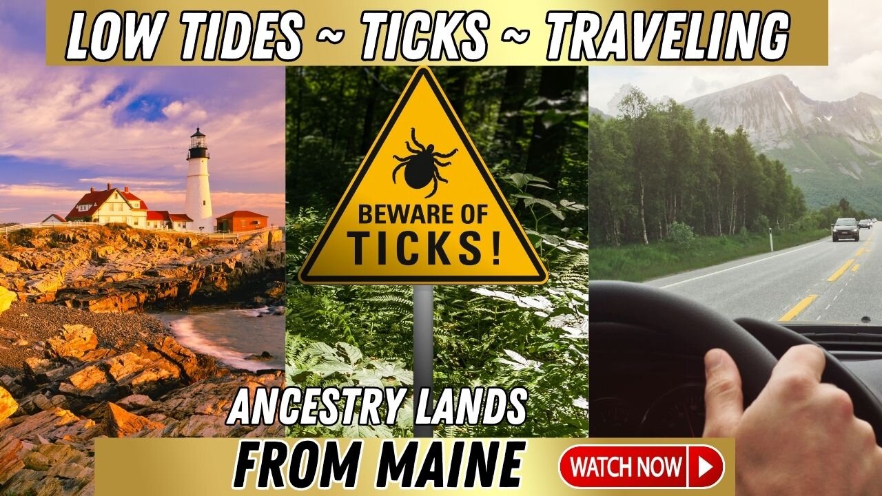 Ticks Tides and Travel from Maine. Did we Survive the Journey