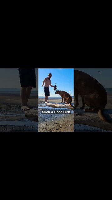 Dana's A Good Girl! #shorts