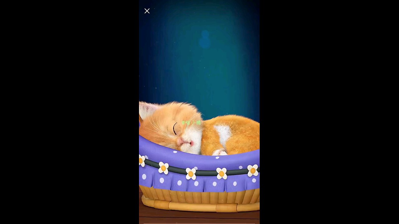 Wake-up meow meow hehe #kidsof