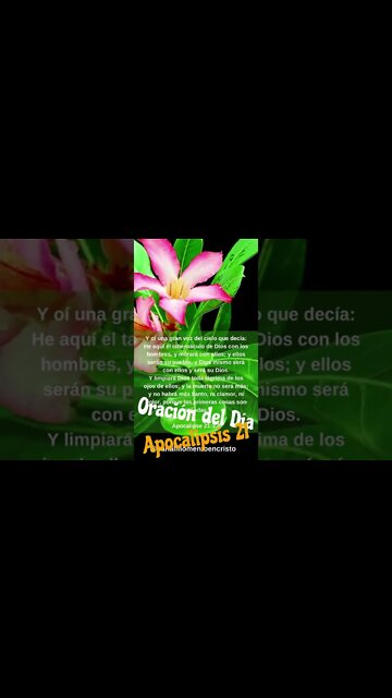 Oración del Día - Apocalipsis 21 #shorts