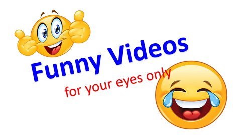 Basketball funny videos