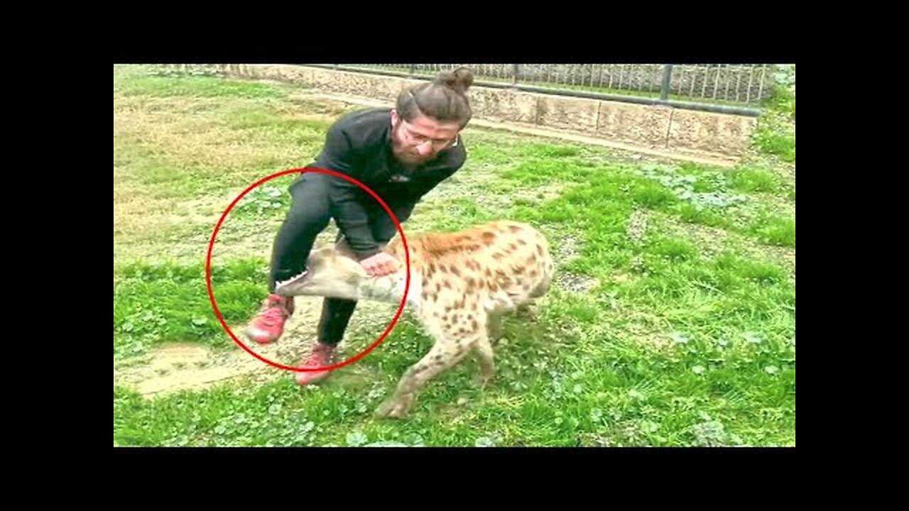 🔴Damn Nature You Scary | Rare & Scary Animal Encounters 😱