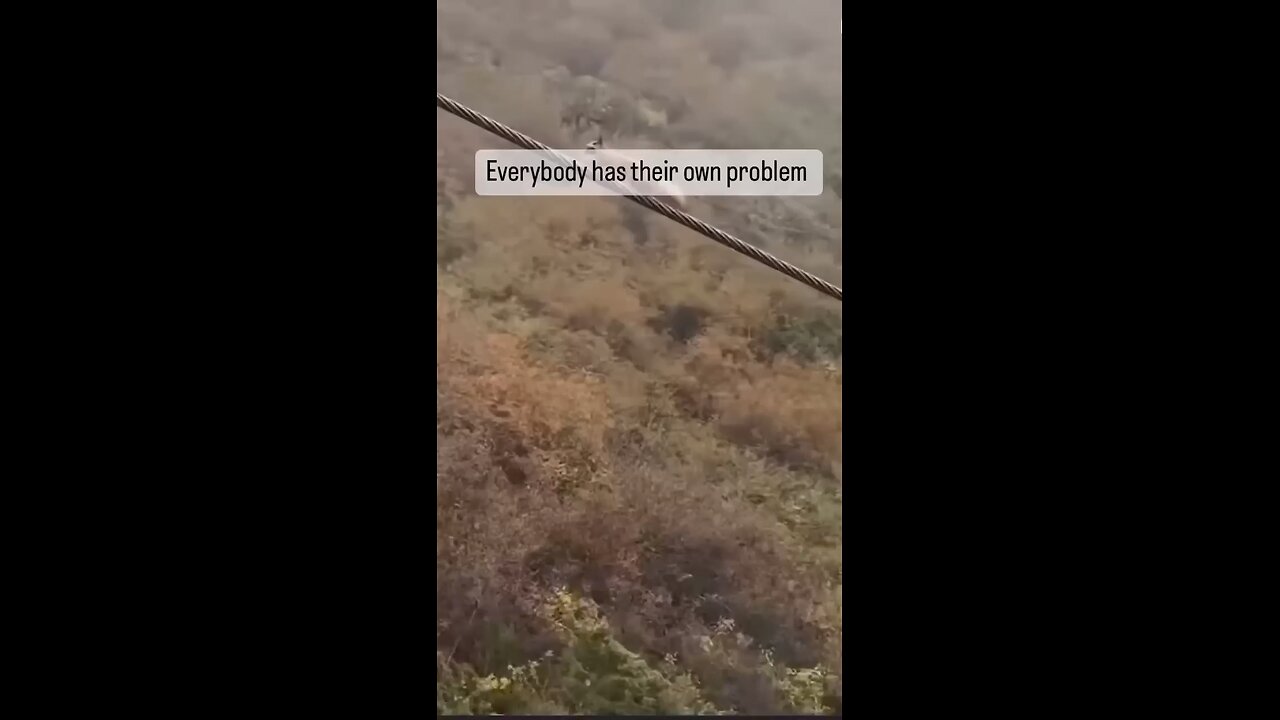 Every Budy Own Problems