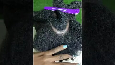 Another way of Panting hair