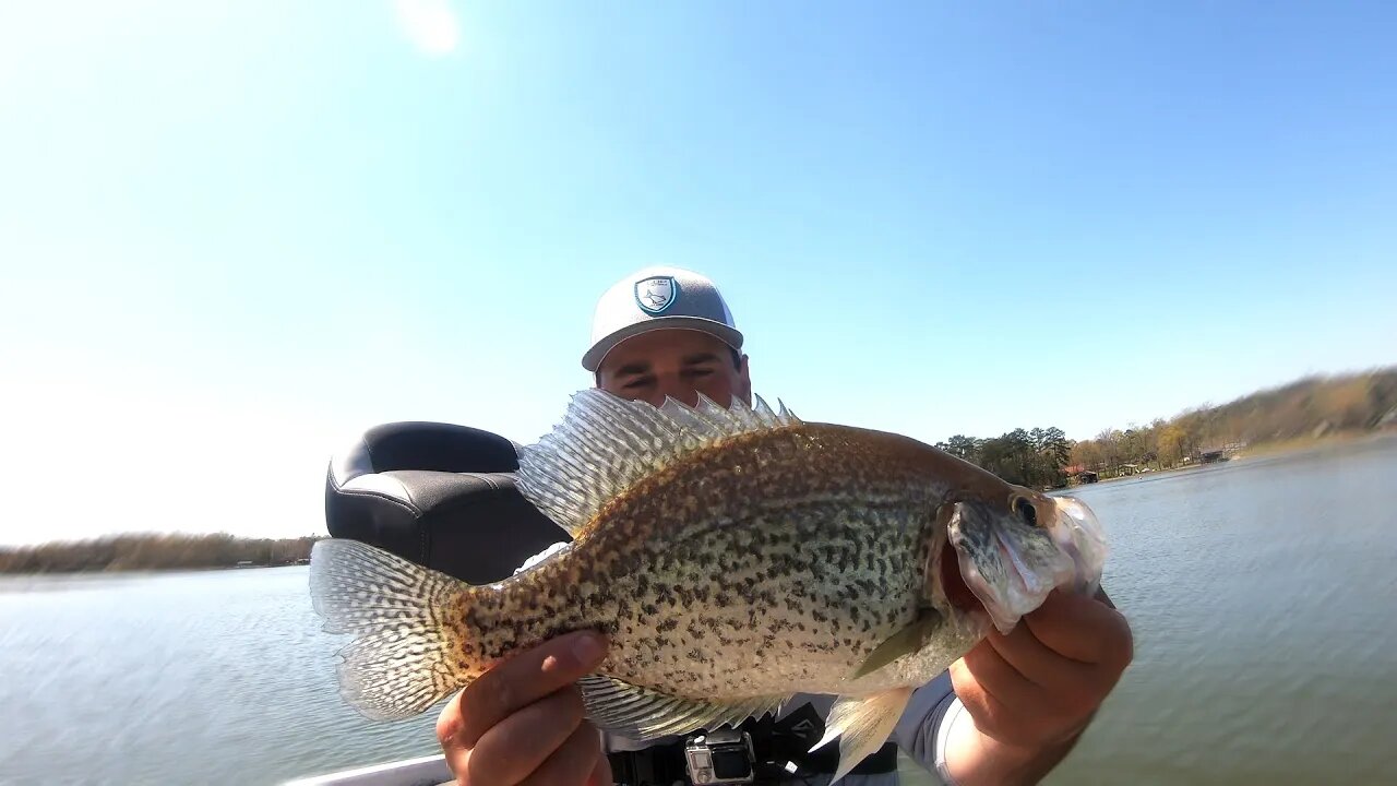 Finding BIG Crappie on a NEW Lake (Watts Bar Lake ep.2)