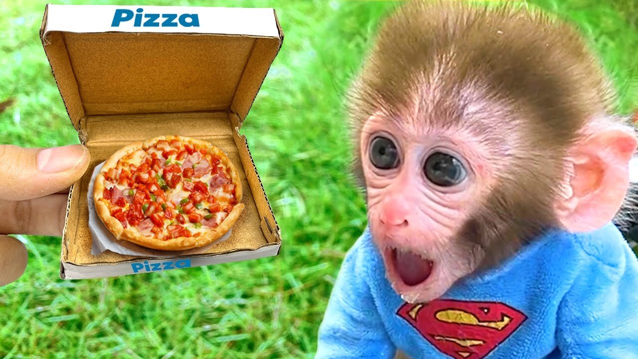 Monkey Baby Bip Bip and puppy eat mini pizza #Babymonkey #Monkey #Animal