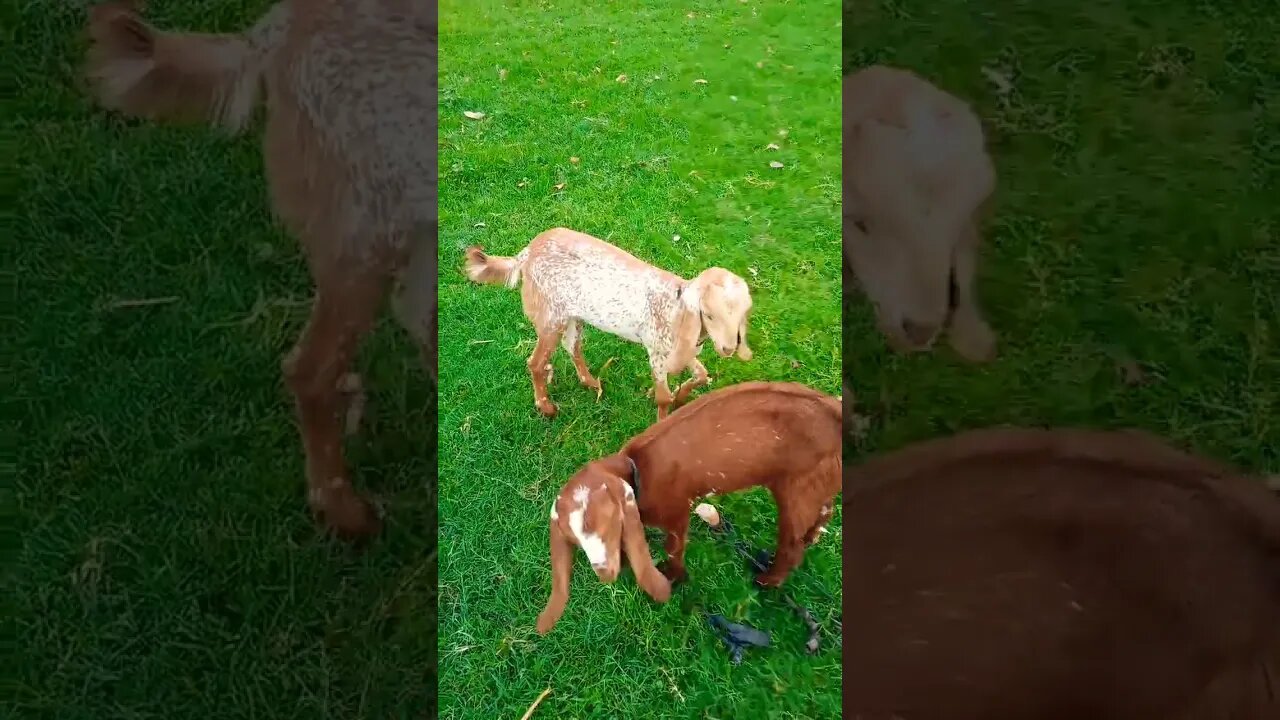 Ya Allah🙏🏻🌹💯❤🙏🏻