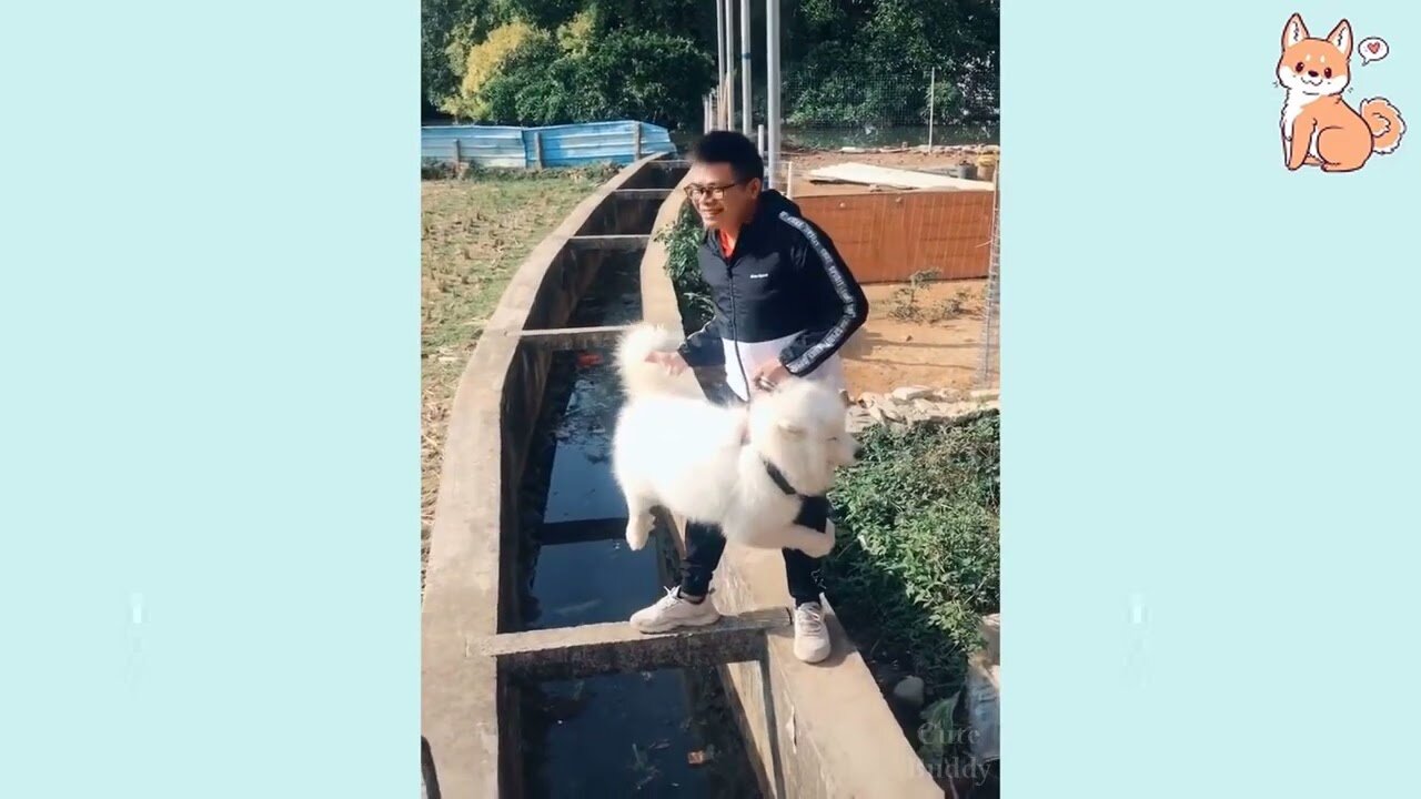 Funny Animal Video to you relax and have fun!