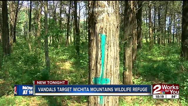 Vandals target Wichita Mountains Wildlife Refuge