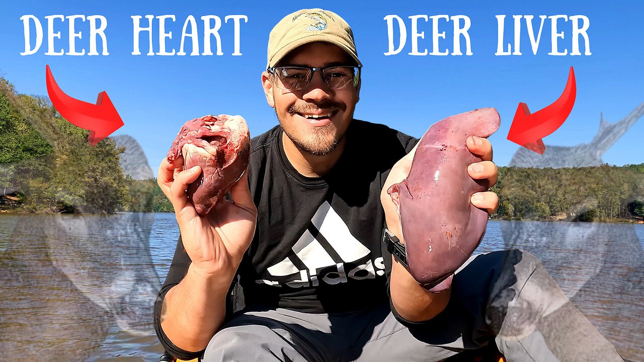 Can I Catch CATFISH, Using (DEER HEART) And (DEER LIVER)???