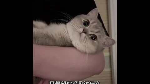 真希望你沒吃過罐罐#shorts