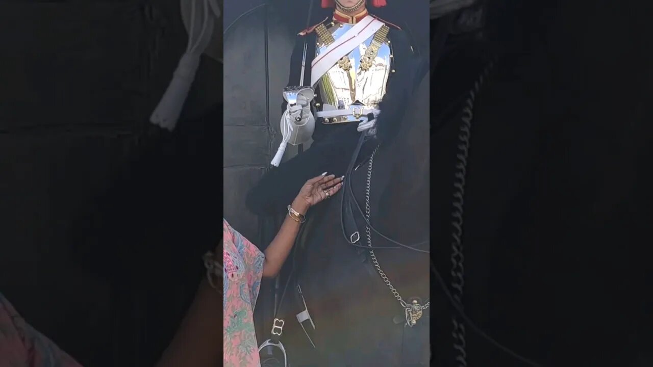 Don't touch the reins #horseguardsparade