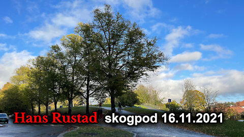 Skogpod 16. november, 2021: En forseglet ordre