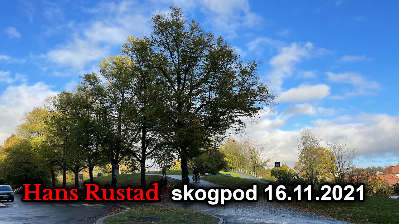 Skogpod 16. november, 2021: En forseglet ordre