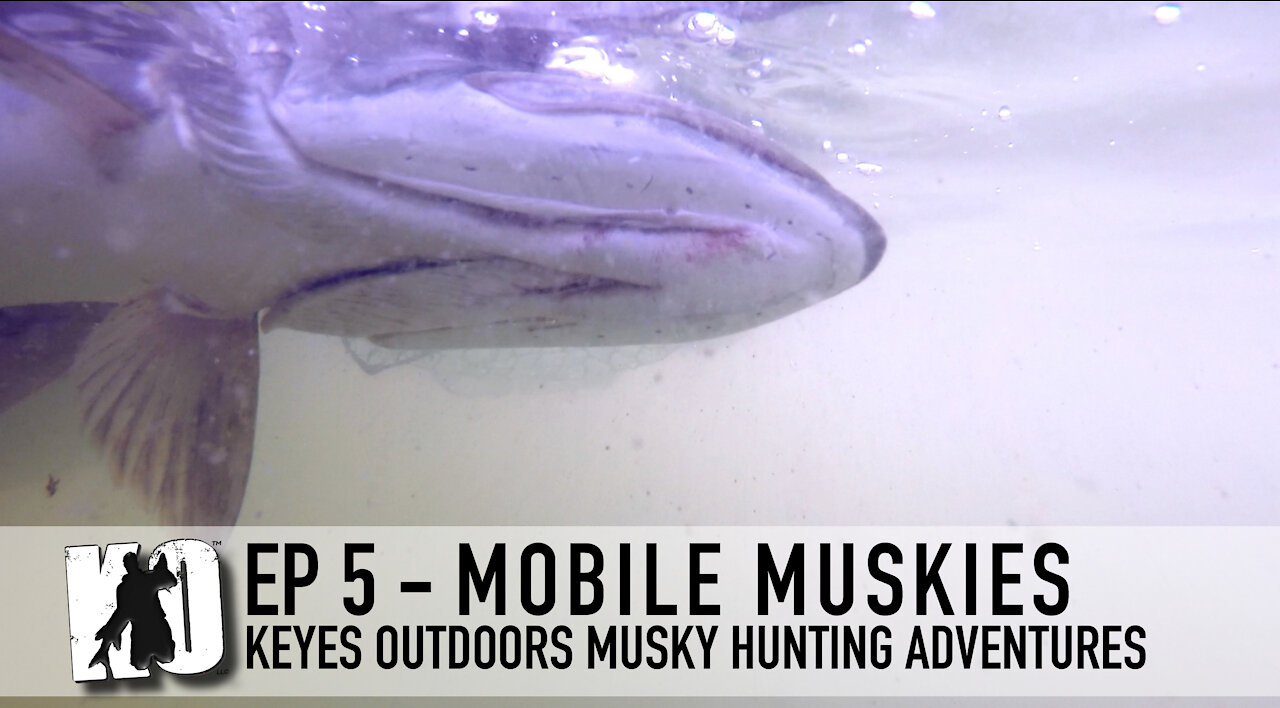 Mobile Muskies