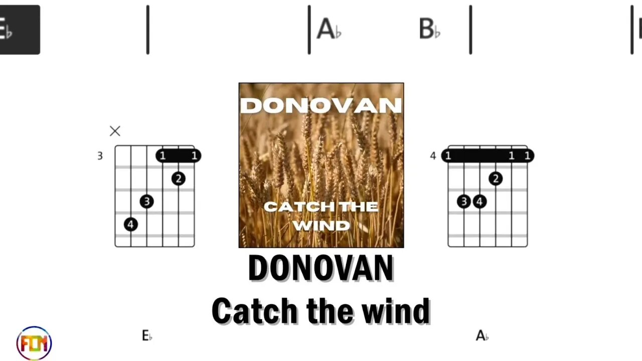 DONOVAN Catch the wind - Guitar Chords & Lyrics HD