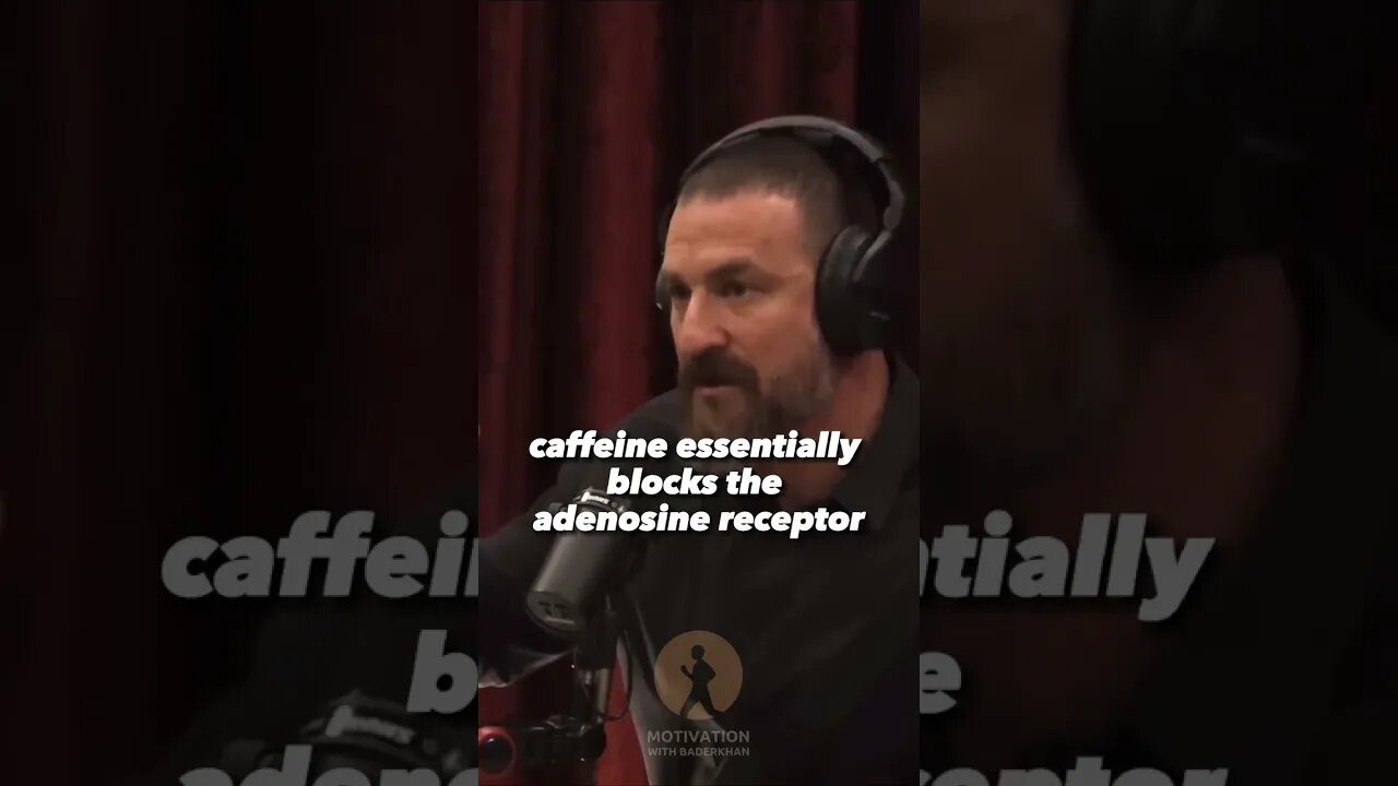 Joe Rogan Gets Educated On Caffeine By Neuroscientist Andrew Huberman #jre