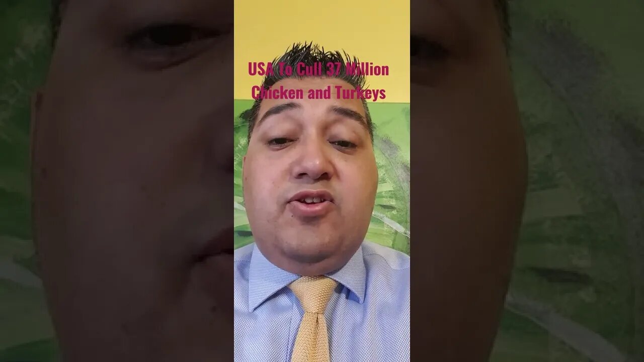 #USA To #Cull 37 Million #Chicken and #Turkeys