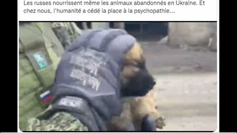 Les films du jour = 2022-03-06