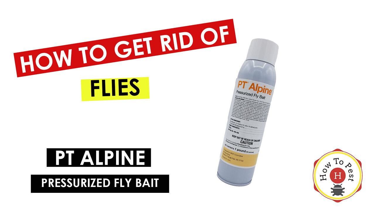 How To Get Rid Of Flies - PT Alpine Pressurized Fly Bait - How To Pest