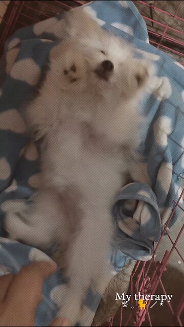 my stress reliever 😍😍😍