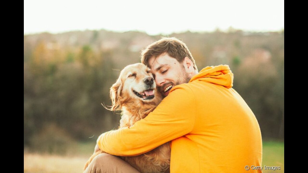 Esse cachorro nos dá uma lição