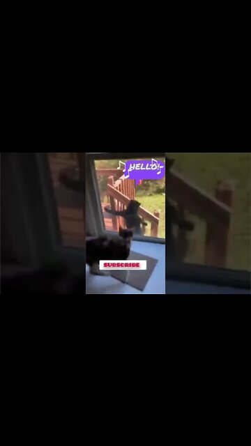 Breaking News (War-Related) #shorts #tiktok #reels