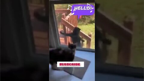 Breaking News (War-Related) #shorts #tiktok #reels
