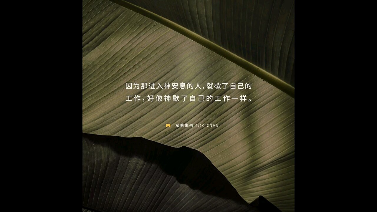 分享今日经文。 愿主与我们同在。阿门