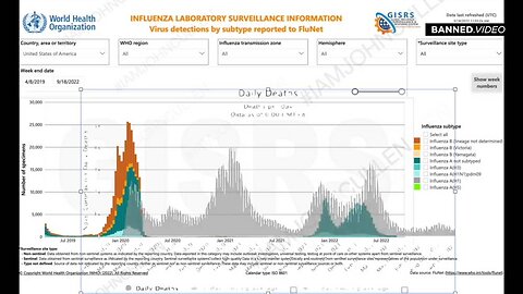 SCAMDEMIC! Watch As Flu Deaths Line Up With "COVID" Deaths