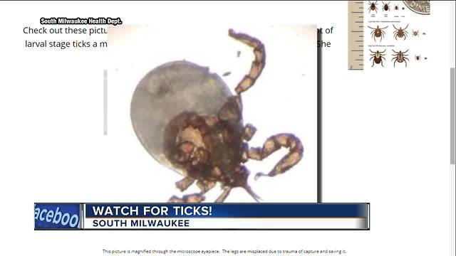 South Milwaukee Health Department issues tick warning