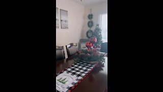 Farm house style Christmas decor