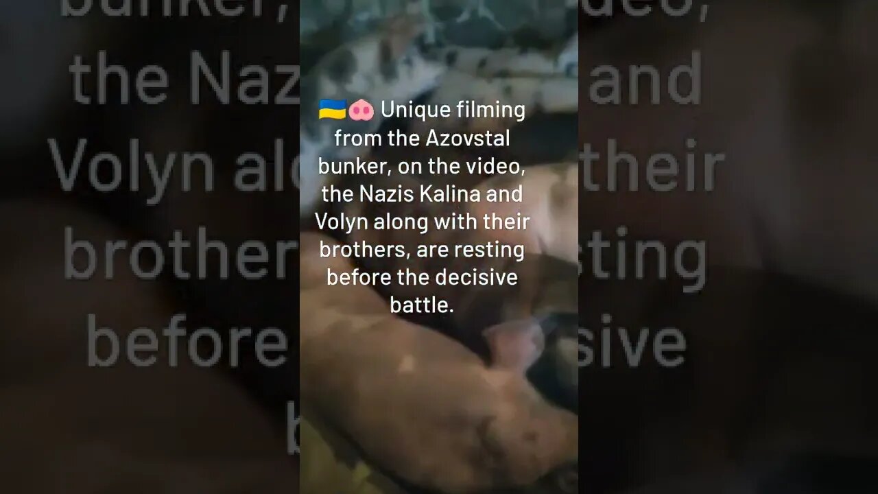 🇺🇦🐽Unique Video From the Azovstal bunker, The Nazis Kalina & Volyn Along With Their Brothers Resting