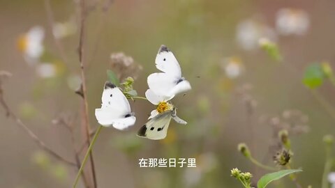 【主日分享】以諾書（12-13章）預言二書與預言三書（AI朗讀w/字幕試播版）