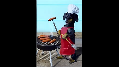 Animal's Funny videos | Animal funny moments 😆😆😁