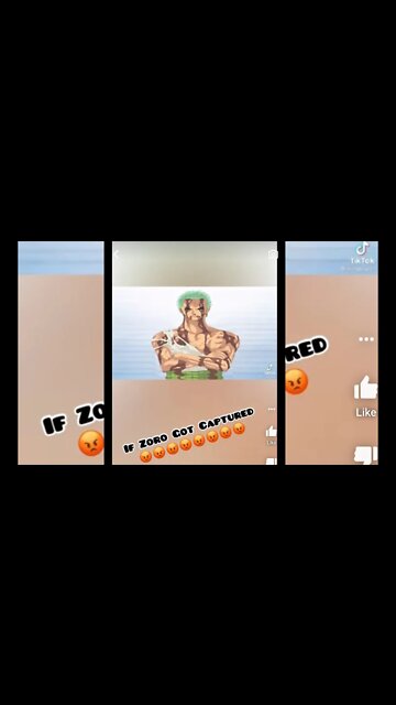 If Zoro Was Captured