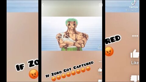 If Zoro Was Captured