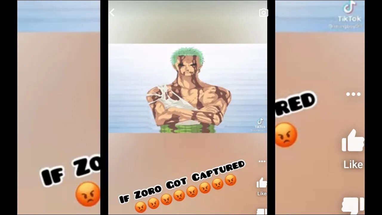 If Zoro Was Captured