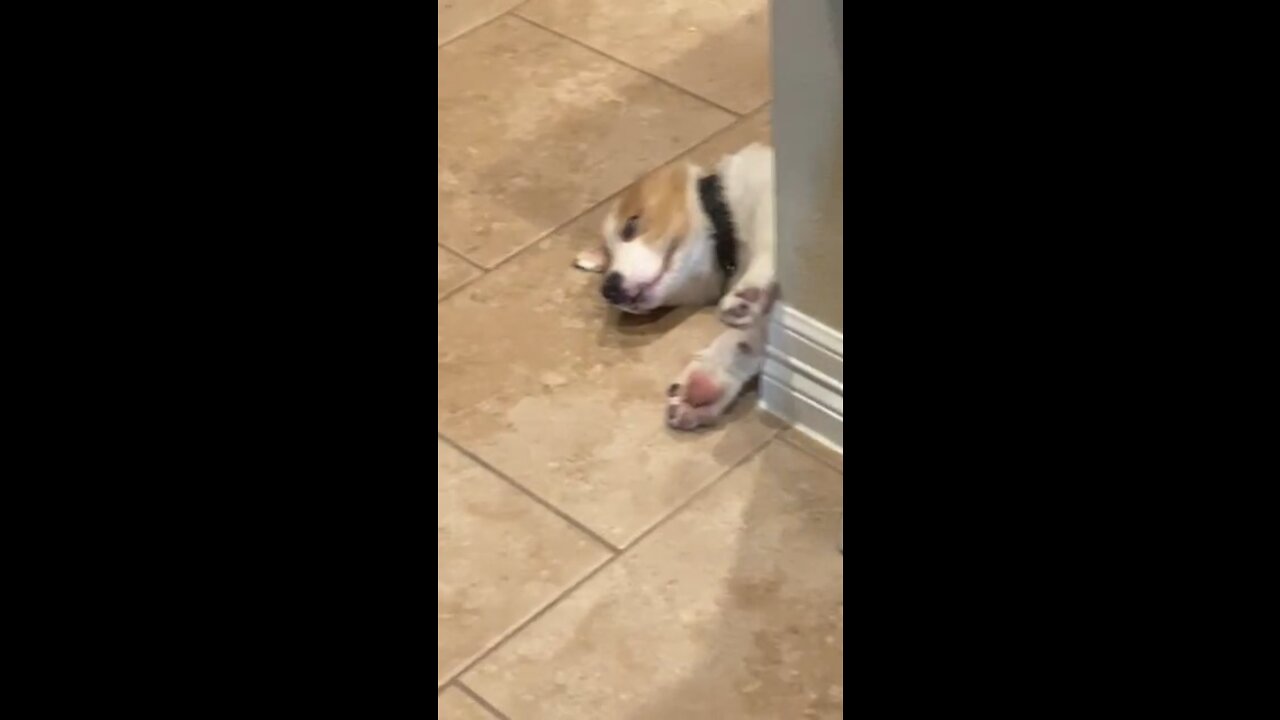 Red is sleepy