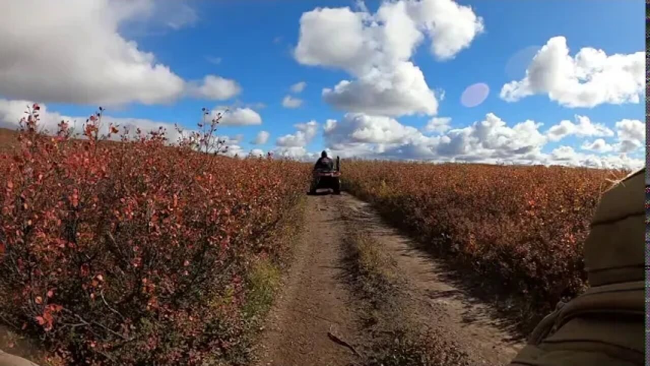 4 wheeler trails off Denali highway Alaska