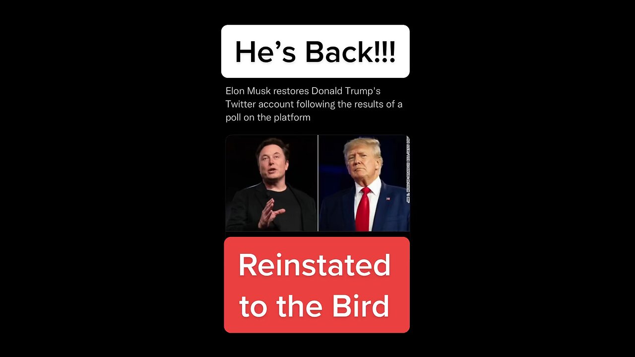 Elon Musk reinstates Donald Trump to Twitter