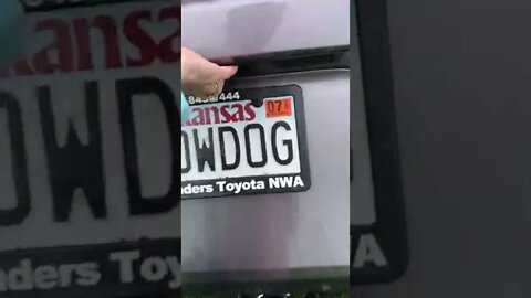 How to teach dog to load in car
